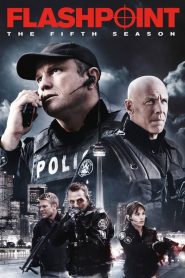 Flashpoint: Sezona 5