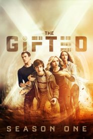 The Gifted: Sezona 1