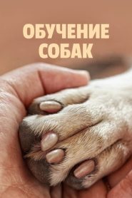 Canine Intervention: Sezona 1