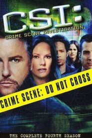 CSI: Crime Scene Investigation: Sezona 4