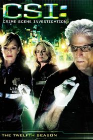 CSI: Crime Scene Investigation: Sezona 12