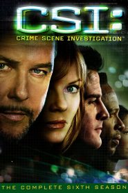 CSI: Crime Scene Investigation: Sezona 6