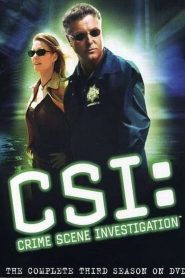 CSI: Crime Scene Investigation: Sezona 3