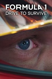 Formula 1: Drive to Survive: Sezona 1