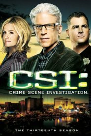 CSI: Crime Scene Investigation: Sezona 13