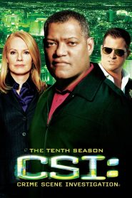 CSI: Crime Scene Investigation: Sezona 10