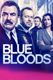 Blue Bloods: Sezona 9