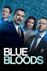 Blue Bloods: Sezona 8
