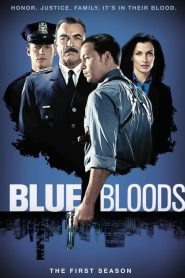 Blue Bloods: Sezona 1