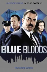 Blue Bloods: Sezona 2