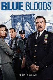 Blue Bloods: Sezona 6