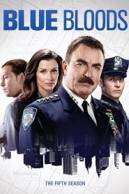 Blue Bloods: Sezona 5