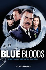 Blue Bloods: Sezona 3