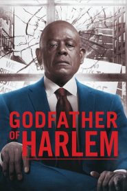 Godfather of Harlem: Sezona 2
