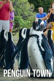Penguin Town: Sezona 1