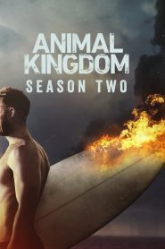 Animal Kingdom: Sezona 2