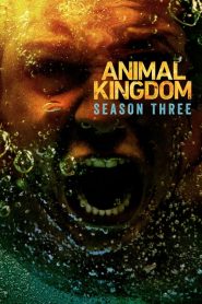 Animal Kingdom: Sezona 3