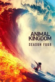Animal Kingdom: Sezona 4
