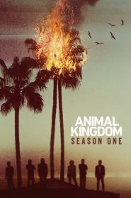 Animal Kingdom: Sezona 1
