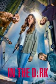 In the Dark: Sezona 3