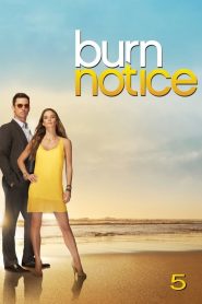 Burn Notice: Sezona 5