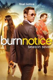 Burn Notice: Sezona 7