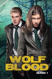 Wolfblood: Sezona 1