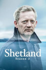 Shetland: Sezona 3