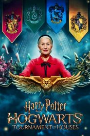 Harry Potter: Hogwarts Tournament of Houses: Sezona 1