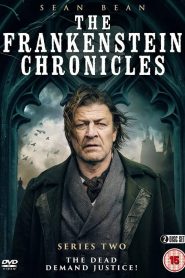 The Frankenstein Chronicles: Sezona 2