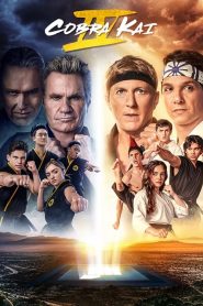 Cobra Kai: Sezona 4