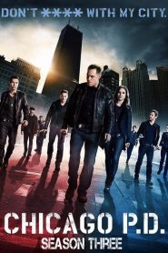 Chicago P.D.: Sezona 3