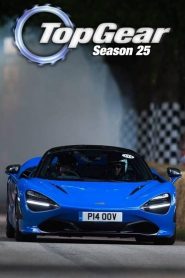 Top Gear: Sezona 25