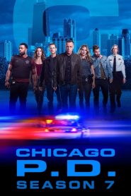 Chicago P.D.: Sezona 7