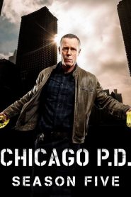 Chicago P.D.: Sezona 5
