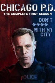 Chicago P.D.: Sezona 1