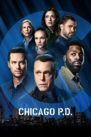 Chicago P.D.: Sezona 9