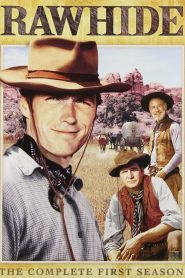 Rawhide: Sezona 1