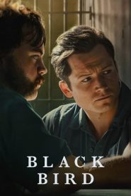 Black Bird: Sezona 1