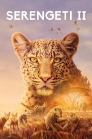 Serengeti: Sezona 2