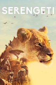Serengeti: Sezona 1