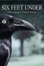 Six Feet Under: Sezona 4