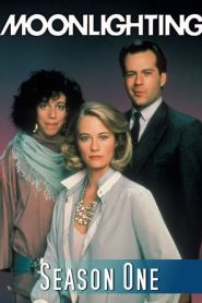 Moonlighting: Sezona 1