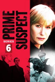 Prime Suspect: Sezona 6