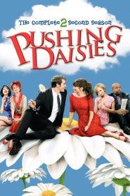 Pushing Daisies: Sezona 2