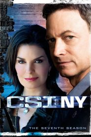 CSI: NY: Sezona 7