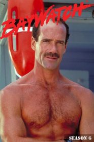 Baywatch: Sezona 6