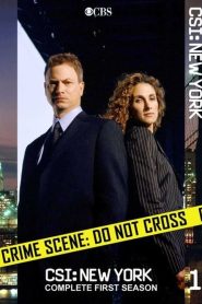 CSI: NY: Sezona 1