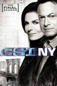 CSI: NY: Sezona 9