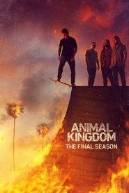 Animal Kingdom: Sezona 6